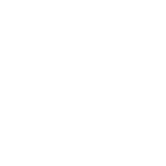 Cruise Wheel